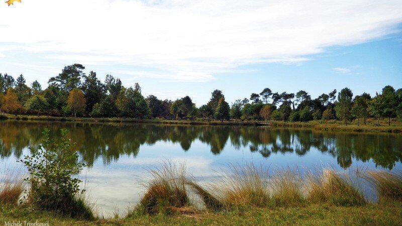 Etangs de Ste Foy et de Gaillères 151016