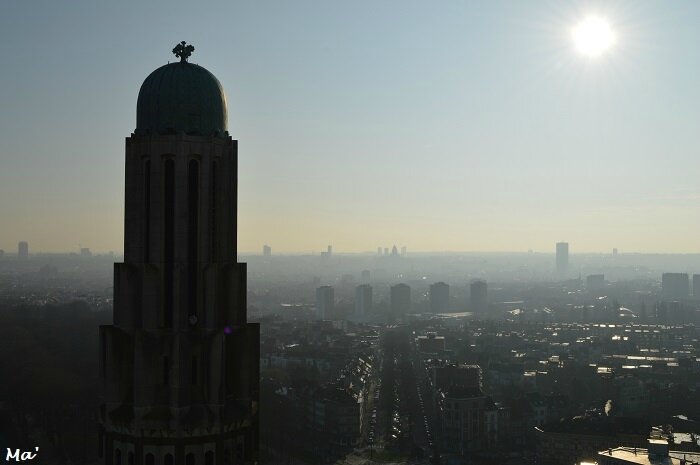 180114_BXL_basilique_4