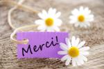 merci_marguerite