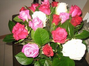 annif_004