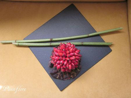 art floral, églantine, polygonum, feuille de vigne