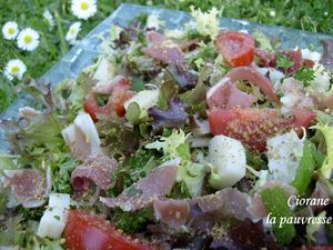 salade_herbe_2
