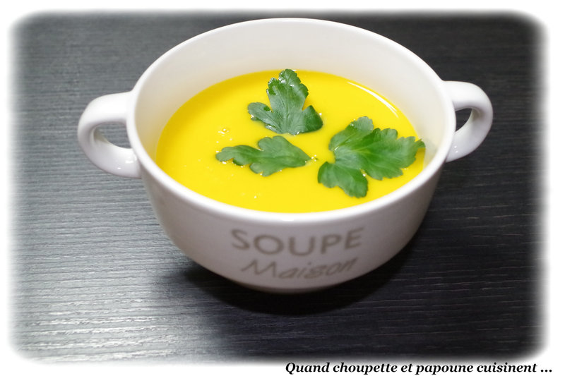 Velouté panais-carottes au TM-2228