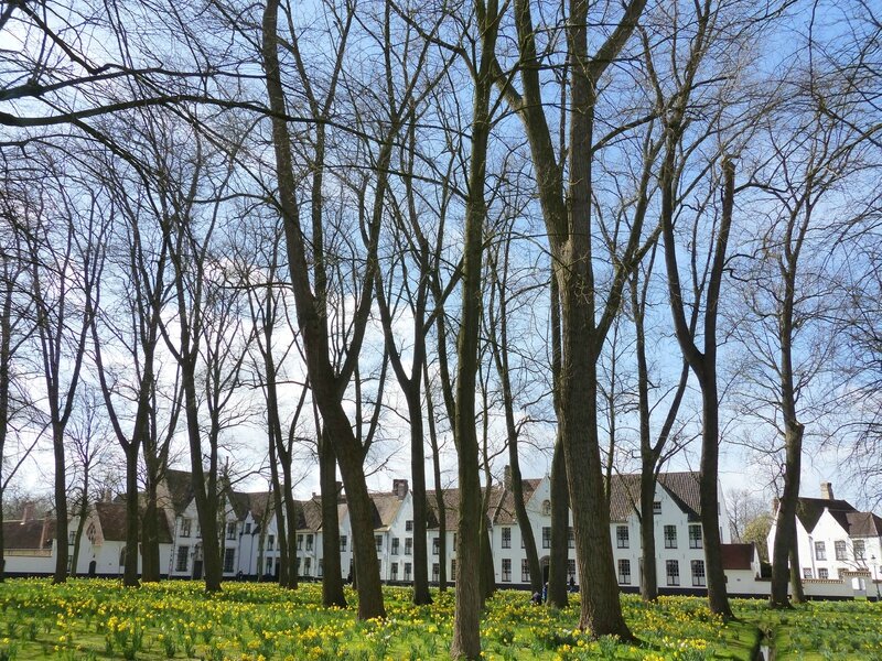 BRUGES le béguinage 27 mars 2015 (26)