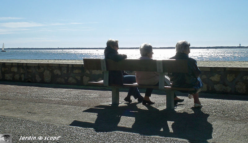 Face à la Mer (Arcachon, avril 2009)