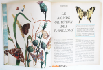 LES-PAPILLONS-3-grand-livre-d'or-muluBrok