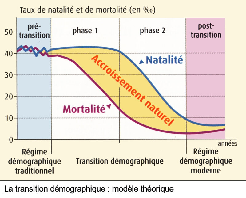 transition démographique