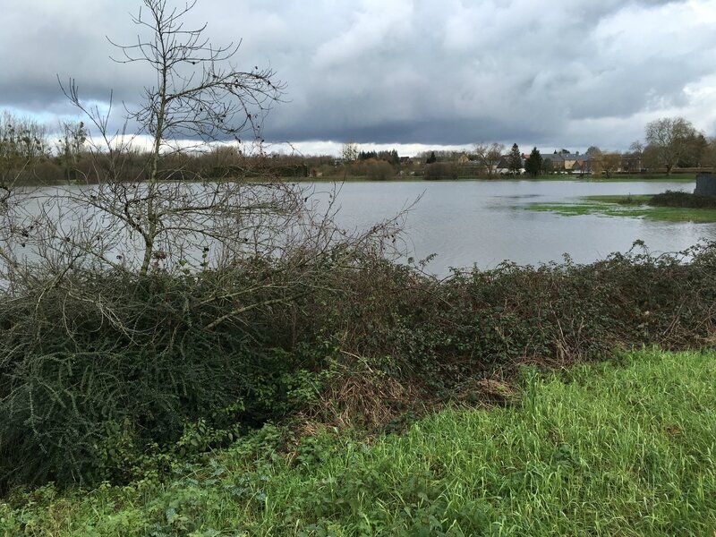 inondation crue 14 février 2016 Ducey Poilley Sélune
