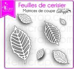 191ImageMFeuillesdeCerisier