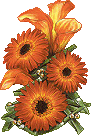 Automne_fleurs