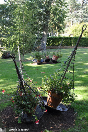 Fuchsias_goutte_d_eau_1