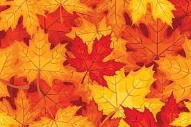 Coloriage feuilles d'automne sur Hugolescargot.com