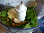 pesto__13_