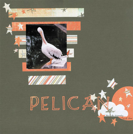 N_pelican