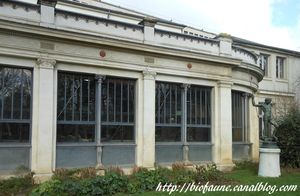 BATIMENT REPTILE 01