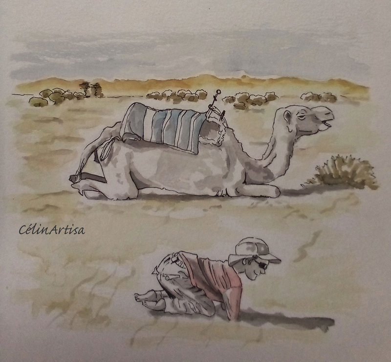 illustration "Le chameau & l'enfant"