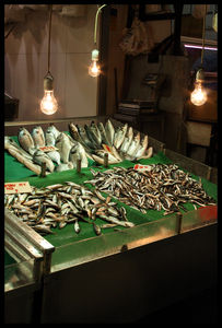 istanbul_63