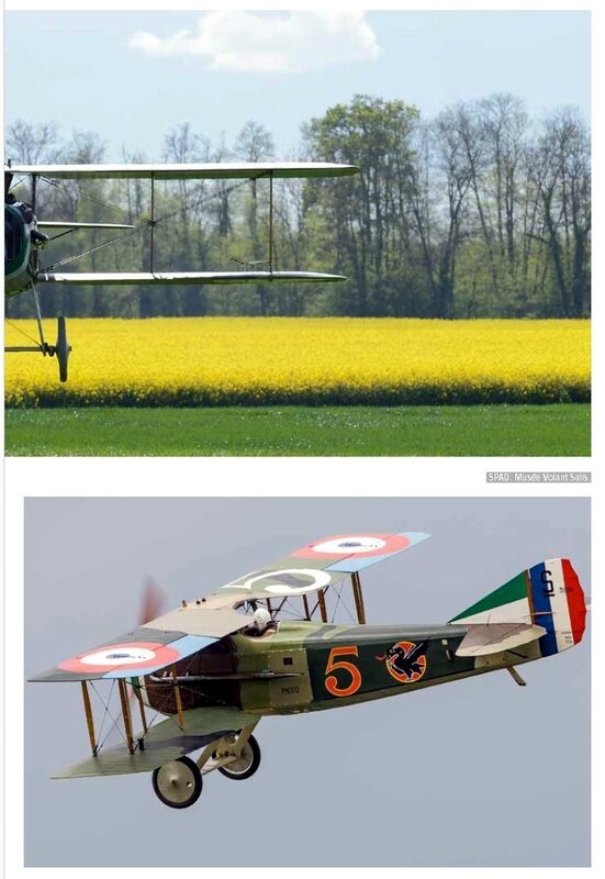 aviation papypore9