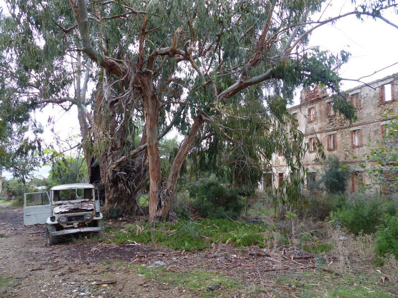 P1260659