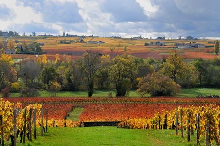 Saint_Emilion_2