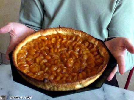 Tarte aux mirabelles façon Annie