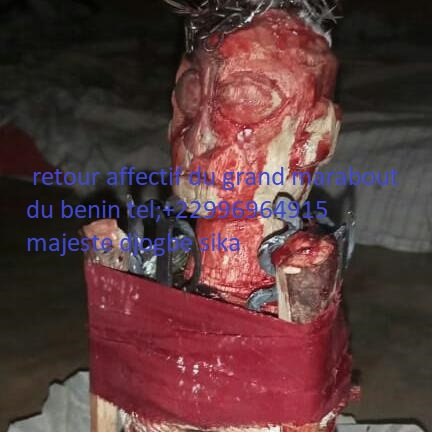 +229 56 41 45 21 20230108_120025