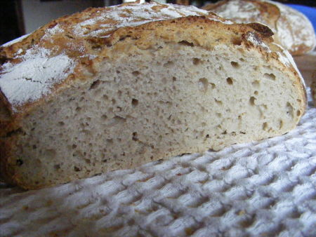 white_levain__rye_crumb
