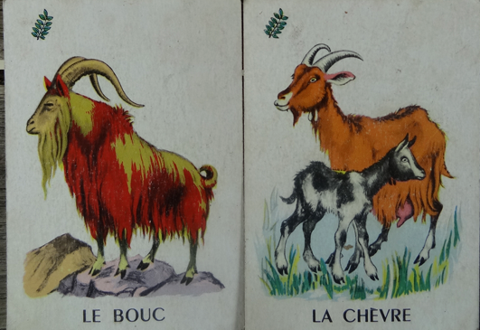 C1 Cartes Mariage muluBrok (4)