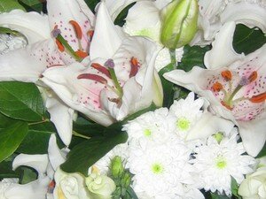 bouquet_de_fleurs_blanches