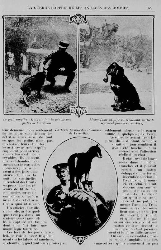 Guerre animaux hommes4