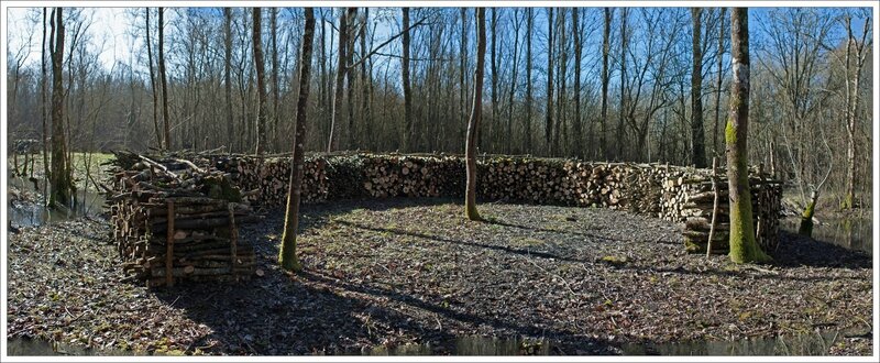 Marais Naillers bois fer à cheval pano 220215