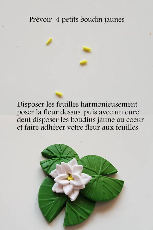 fanny-8