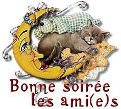 bonne soirée les amies