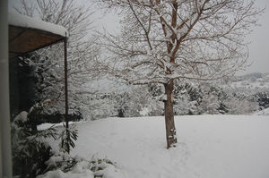 neige_janvier_4