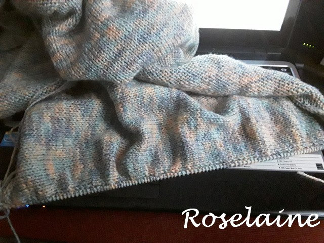 Roselaine Cardigan Trescao 3