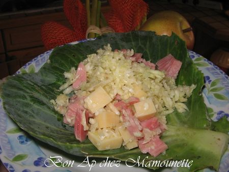 Salade_vend_enne_au_chou_blanc_du_jardin_bonapchezmam