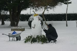 5 février 12 neige chats 060