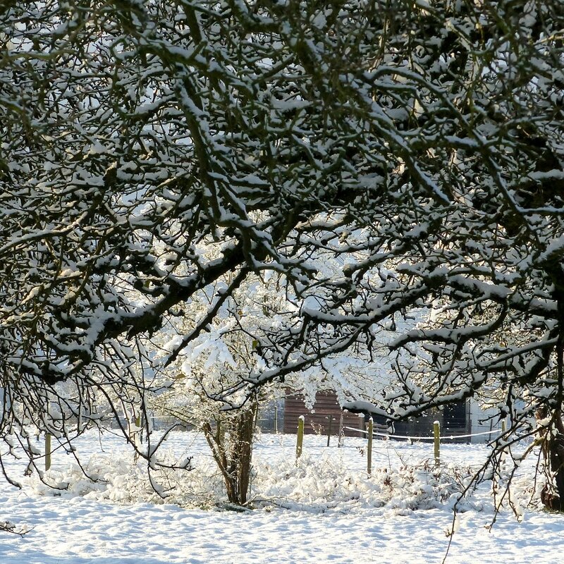 ambiance neige9