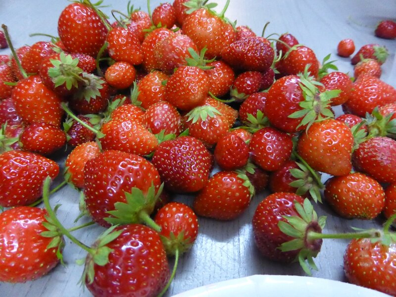 4-fraises (1)