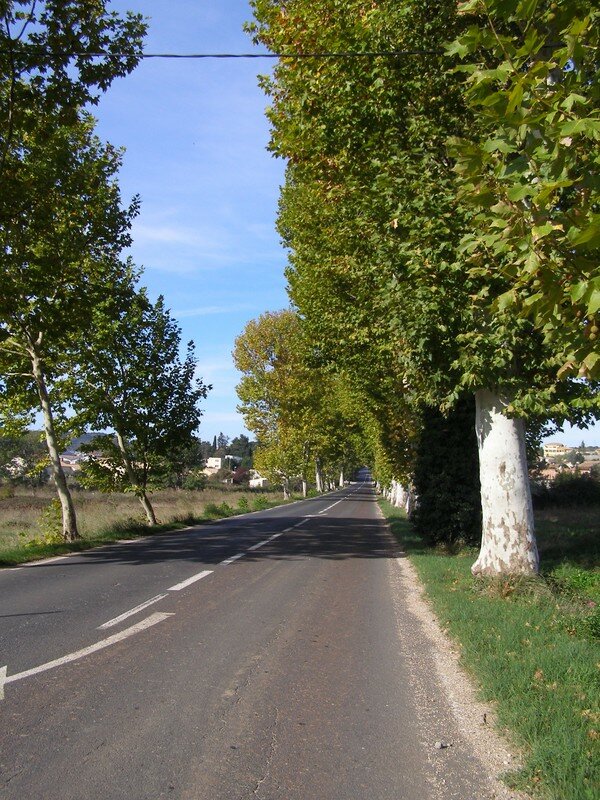 Entre St Félix de Lodez et St André de Sangonis