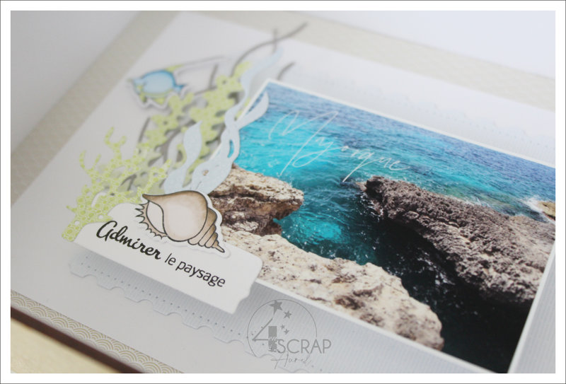240422 - Home Deco Nature AP E22 - J3 #4