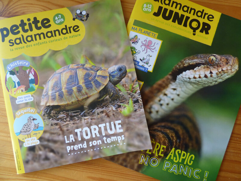 Salamandre juin juillet 19 (1)
