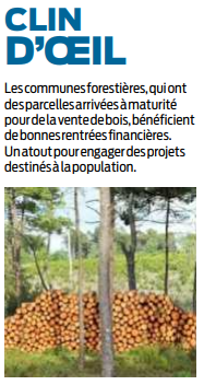 2019 06 20 SO Commune forestière