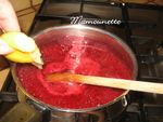 P_tes_de_fruits_aux_m_res_sauvages_et_aux_framboises_012