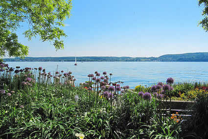 bodensee-ferienhaus