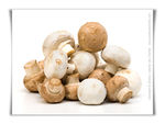 Champignons_de_Paris