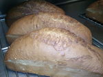 Photo0087