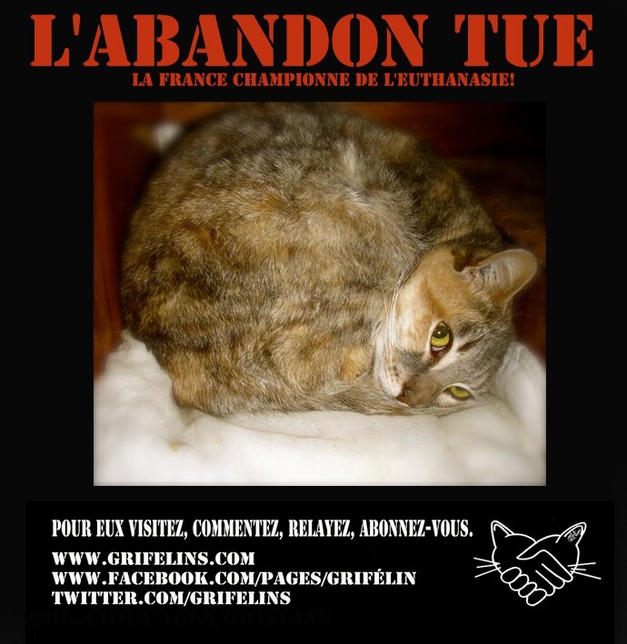 L'abandon Tue
