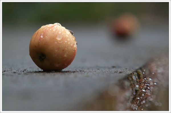 ville pomme pluie mousse 250813