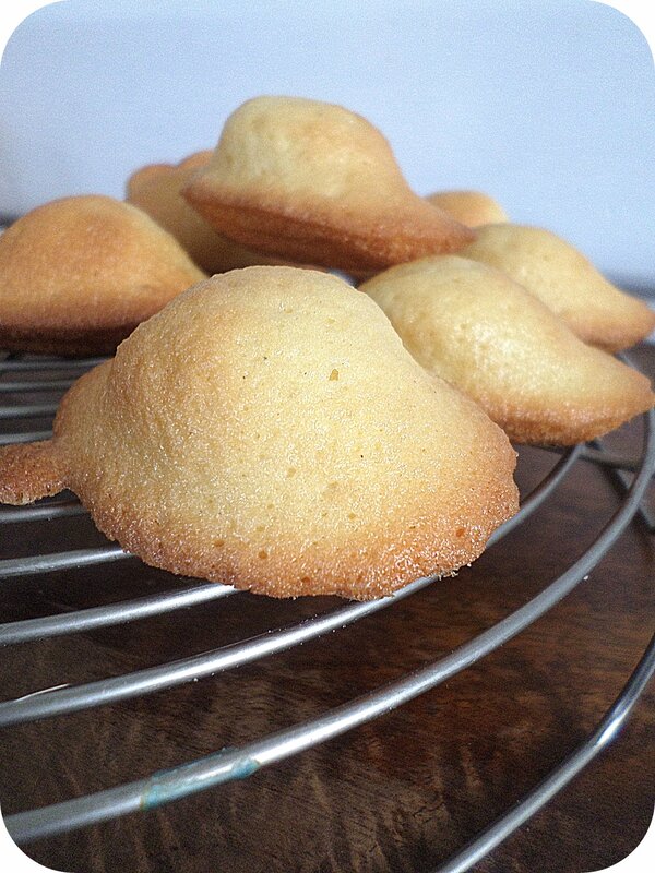 Madeleines 2